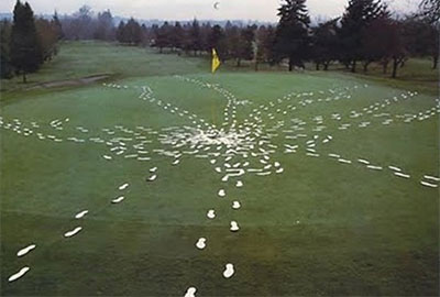 Foot traffic from one foursome of golfers on a golf green